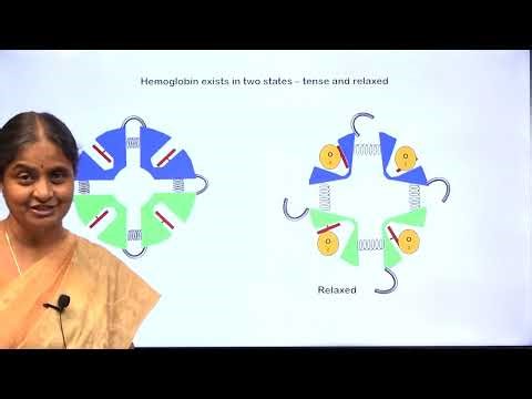 RS2 Transport of oxygen in blood