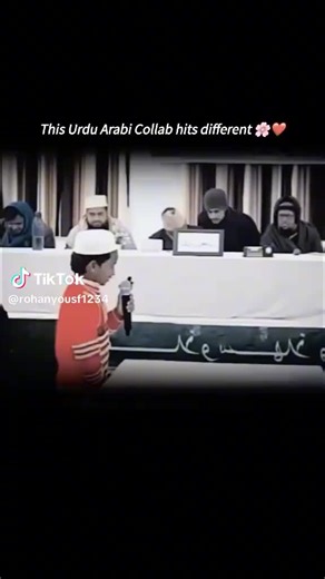 Anas anwar 2511 (@anas.anwar.2511)’s videos with original sound - Anas anwar 2511