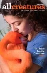 3K views · 49 reactions | INTRODUCING ALL CREATURES MAGAZINE All...