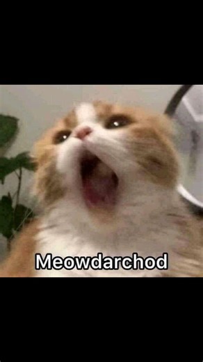 Vivex | 🥀💔 | Instagram