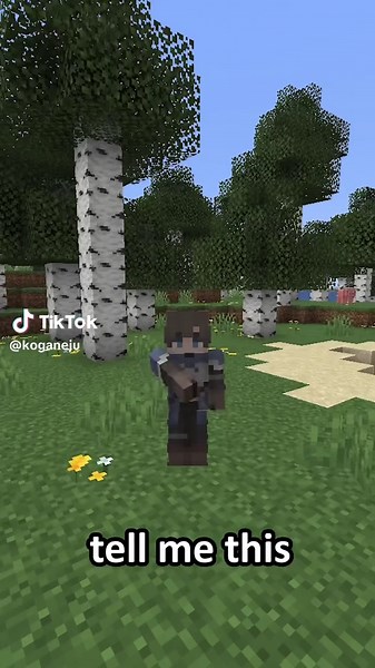 Exploring the Birch Forest Biome in Minecraft