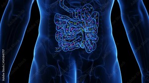 3d rendered medical animation of the intestinal microbiome