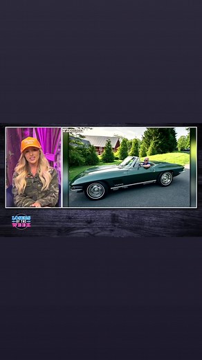 118K views · 2.6K reactions | Who let Brandon drive a motor vehicle? He can’t even operate a bicycle! #TomiLahren | Tomi Lahren | Facebook