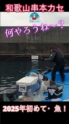 2025年初めての串本そして、魚！五目釣り達成 part1 #釣り #fishing #串本カセ #shorts24
