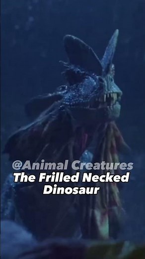 Meet the Frill Necked Lizard: Australia's Fierce and Fascinating Creature.