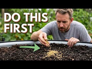 Fall Garden Prep in Zone 9 - Rebuilding Your Soil After a Hot Summer