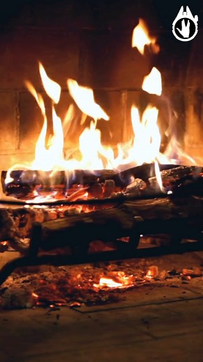 The lost episode of Jean Luc's Memoir Notes. Picard recalls more childhood trauma #StarTrek #thenextgeneration #picard #TheLostEpisode | The Millennium Vulcan