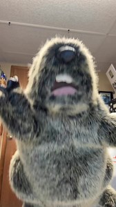 Groundhog Day Marathon is almost here! | Groundhog Marathon