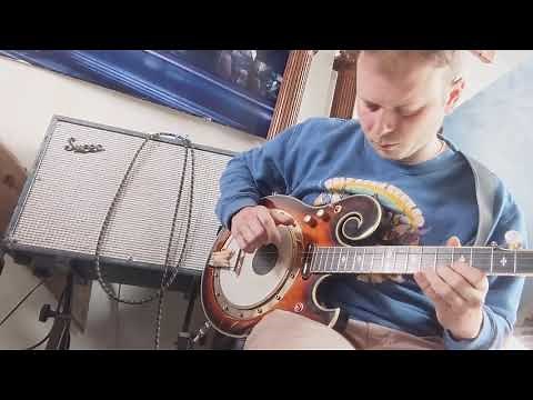 Gold Tone Electric Banjo EBM-5 Tobacco Sunburst with upgraded electronics