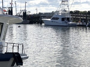 Boat Slips for Sale- Charleston, SC Marinas -