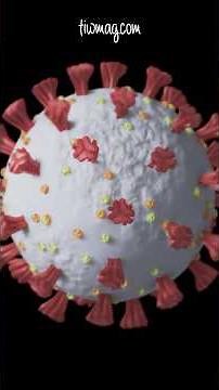 How an RSV Pregnancy Vaccine Protects Your Baby #rsv #vaccine