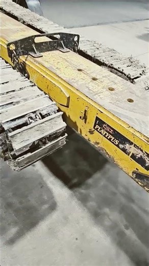 CSI Platypus 💪🏽🤙🏽