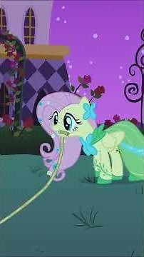 At the Gala🎉 My Little Pony: Friendship is Magic #shorts #mlp #cartoon #pony