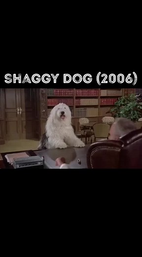 Shaggy Dog (2006) #dogs #funny #movies #classic #family#myristorantecreation
