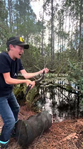 We set a minimum minnow trap for twenty four hours#fishing #sportfishing #minnowtrap￼