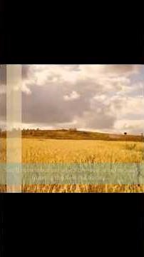 Eva Cassidy Fields of Gold(Lyrics)