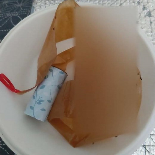 ハエ取り紙の 使い方 How to use flypaper #えどアイデア #edoidea 2025年9月16日