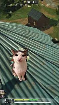 Meow playing with mice 🐁 in farm #codm #codmobile #callofdutymobile