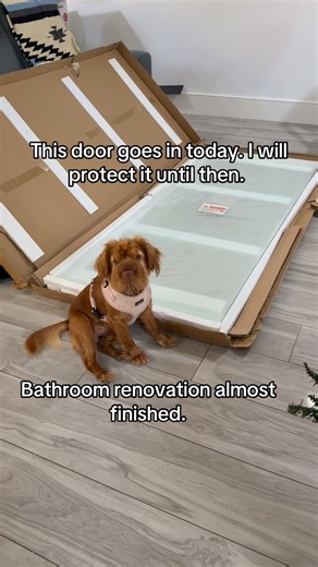 Bailey the Mini Hippo | Guest bath renovation almost complete! Bailey is keeping an eye on the shower door until they install it 🤣 | Instagram