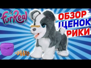 Обзор интерактивного щенка Рики | Ricky FurReal Friends от Hasbro