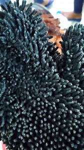 4.5K views · 24 reactions | ...HAPPY MASHUJAA DAY 2019... Love What you DO...Do what Love...ALL PROFESSIONAL SALON SERVICES ALL THE WAY...#Sirlennyladieshaircuts #Ladivasalon #Naturalhaircolour #Naturalcurls #Happymashujaday #Luxurylifestyle | Sir Lenny Ladies Haircuts | Facebook