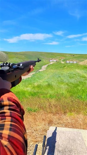 Springfield M1A Rifle