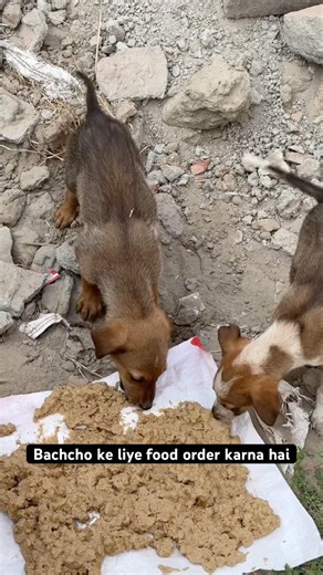 Kya AAP food order kar sakte ho? | Hungry Eyes