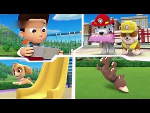 Paw Patrol Season 1 Best Video