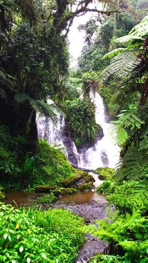 Exploring Free Music: Vybz Kartel and Eminem