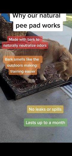 Bark Potty on TikTok