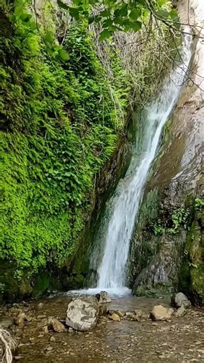 Whispering Cascade in Lush Green Embrace| ❣️#waterfall #relaxing #darood