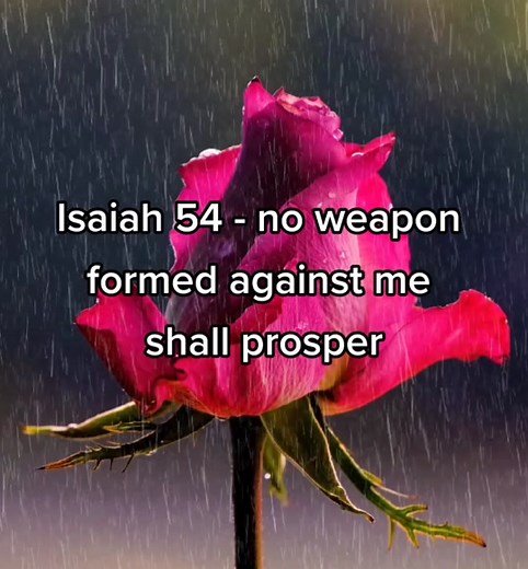 Daily Scriptok on TikTok