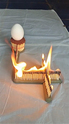“Egg vs Fire Matchstick Experiment 😱🔥 | Amazing Chain Reaction Trick