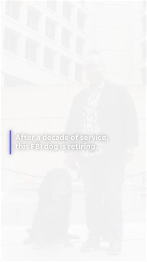 Not all heroes wear badges, some walk quietly beside those who need them most. #usatodaypets | Akron Beacon Journal