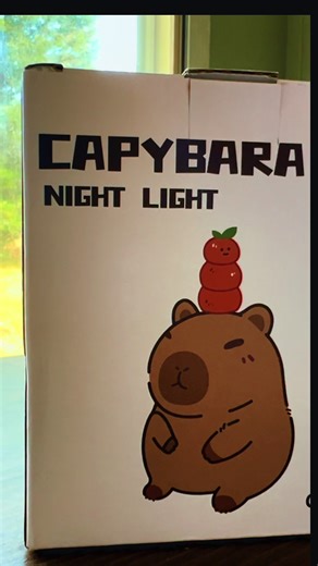 Does your kiddo love Capybara’s? This night light is a must have for them! This Capybara is an LED night light it has 2 dimmable levels along with a timer. #nightlight #capybara #capybaratiktok #tiktokshopblackfriday #cute @yudodo