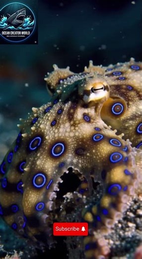 Deadly Beauty! 🐙 The Blue-Ringed Octopus: 30 Seconds to Life or Death