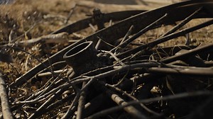 Watch Rural America Live on RFD-TV Thursday, February 9th at 9PM CT for the broadcast premiere of "A Farmer's Journey 2." Three generations of Midwest farmers tell the story of their family's operation in this award-winning documentary film. Visit the Leffler family farm and ranch as they bring us into an often overlooked backbone of America. Live Q&A to follow. AT&T U-verse Ch. 568, 1568 (HD) DirectTV Ch. 345 DISH Network Ch. 231 Spectrum Ch. 132, 734 (in St. Louis metro) Or streaming on the RF