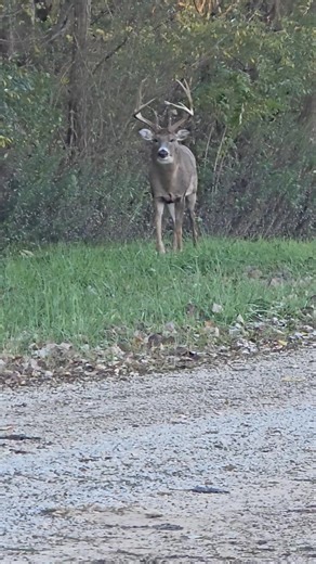 Can't make this stuff up!!! | Shane Knicely