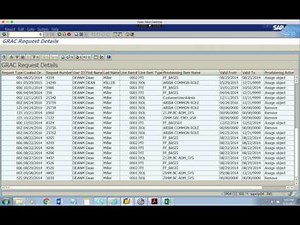 SQ01 Query for GRC Request Details