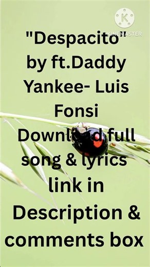 Luis Fonsi -Despacito ft.Daddy Yankee (Download full song & lyrics)full t