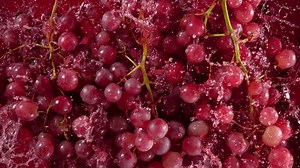clip-1102688985-super-slow-motion-shot-fresh-grape-falling