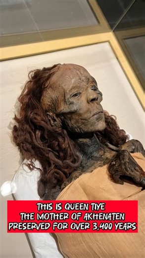 Queen Tiye — The Woman Who Shaped a Pharaoh This is the mummy of Queen Tiye, the mother of Akhenaten and one of the most powerful women in ancient Egyptian history. Preserved for more than 3,400 years, her face still carries authority, intelligence, and presence. Queen Tiye was not a symbolic wife or a silent queen. She ruled beside kings, influenced diplomacy, and shaped the future of the royal family. According to ancient Egyptian belief, preserving the body was essential for the journey after
