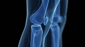 Animation Showing Human Knee Stock Footage Video (100% Royalty-free) 5039993 | Shutterstock