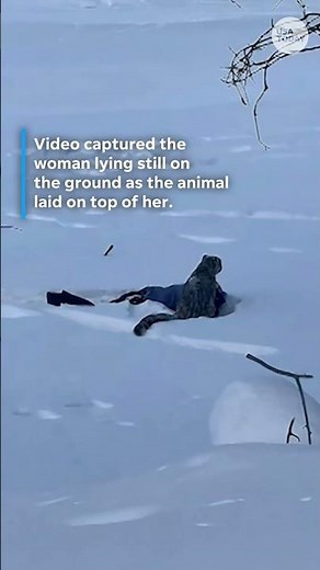 Skier survives snow leopard attack in China