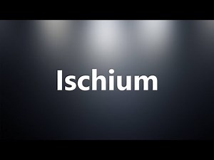 Ischium - Medical Meaning and Pronunciation
