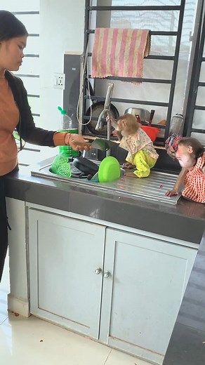 Nice working walking baby Bryan : #MonkeyBelly #animals #funnyanimals #cute #monkeylove #monkey #Bryan #BryyanTV | Monkey Loader