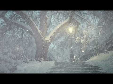 Deep Sleep ASMR: Blizzard Winds & Snowfall Sounds | Chill Winter Night Ambience ❄️🌬️