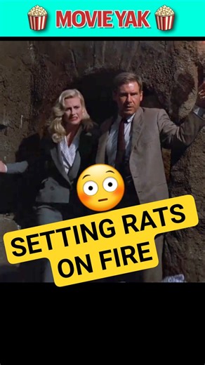 40K views · 364 reactions | The Truth Behind INDIANA JONES Burning Rats Scene. In Indiana Jones and the Last Crusade, we all saw thousands of rats being set on fire and burning, but would Steven Spielberg really do that? Here's the secret behind how they did it. #indianajones #movie #behindthescenes #movies #behindthescene #movietrivia #stevenspielberg #georgelucas #didyouknow #80s #1980s #80smovies #moviefacts #harrisonford #moviescenes #shorts | Movie Yak | Facebook