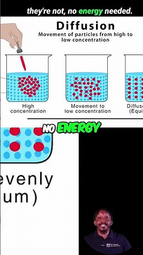 Cell Transport Trifecta: Diffusion, Osmosis & Active Transport Explained #shorts