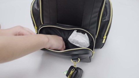 HUGGIES Unisex-adult Signature Hug Pack Diaper Backpack, Bridal Rose, One Size